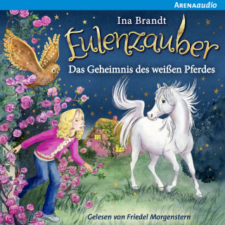 Ina Brandt: Eulenzauber (13) Das Geheimnis des weißen Pferdes