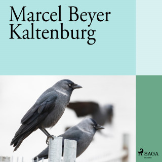 Marcel Beyer: Kaltenburg