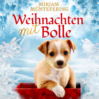 Mirjam Müntefering: Weihnachten mit Bolle