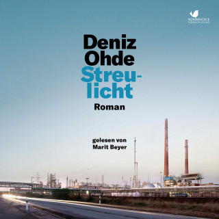 Deniz Ohde: Streulicht