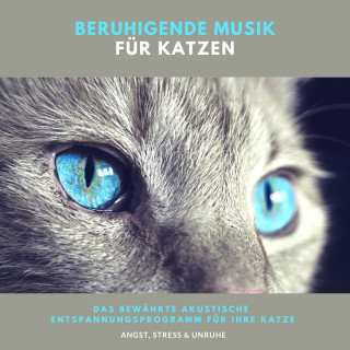 Laura Maria Kasier: Beruhigende Musik für Katzen