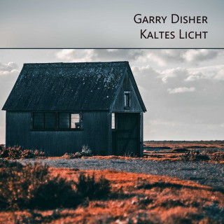 Garry Disher: Kaltes Licht