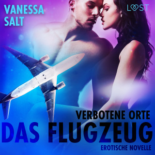 Vanessa Salt: Verbotene Orte: Das Flugzeug - Erotische Novelle