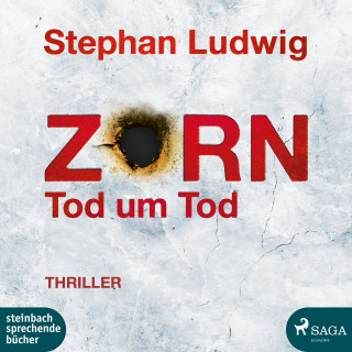 Stephan Ludwig: Zorn