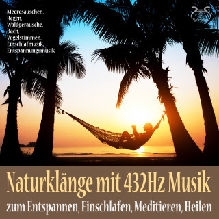 Torsten Abrolat: Naturklänge mit 432Hz Musik zum Entspannen, Einschlafen, Meditieren, Heilen