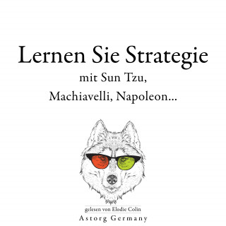 Sun Tzu, Niccolò Machiavelli, Napoleon Bonaparte: Lernen Sie Strategie mit Sun Tzu, Machiavelli, Napoleon...