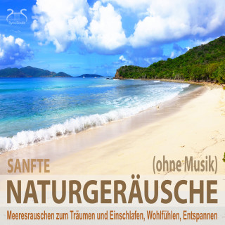 Torsten Abrolat: Sanfte Naturgeräusche (ohne Musik) - Meeresrauschen zum Träumen und Einschlafen, Wohlfühlen, Entspannen