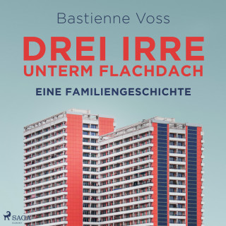 Bastienne Voss: Drei Irre unterm Flachdach. Eine Familiengeschichte