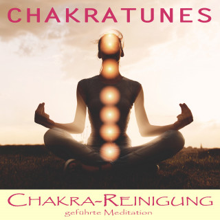 Raphael Kempermann: Chakra Reinigung