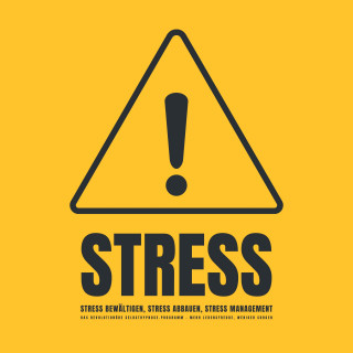 Patrick Lynen: Stress! Stress bewältigen, Stress abbauen, Stress Management