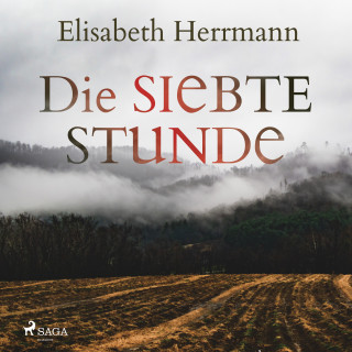 Elisabeth Herrmann: Die siebte Stunde: Joachim Vernau 2 - Kriminalroman