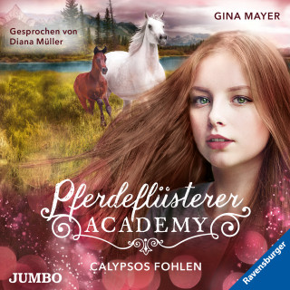 Gina Mayer: Pferdeflüsterer-Academy. Calypsos Fohlen [Band 6]