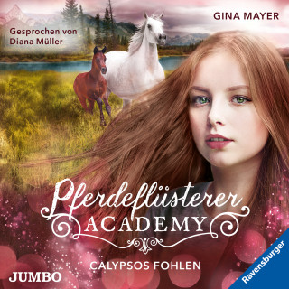 Gina Mayer: Pferdeflüsterer-Academy. Calypsos Fohlen