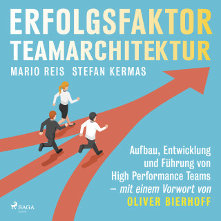 Mario Reis, Stefan Kermas: Erfolgsfaktor Teamarchitektur: Aufbau, Entwicklung und Führung von High Performance Teams - mit einem Vorwort von Oliver Bierhoff