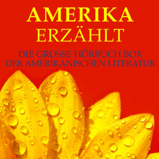 Mark Twain, Edgar Allan Poe, Jack London: Amerika erzählt