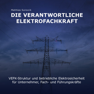 Matthias Surovcik: Die Verantwortliche Elektrofachkraft