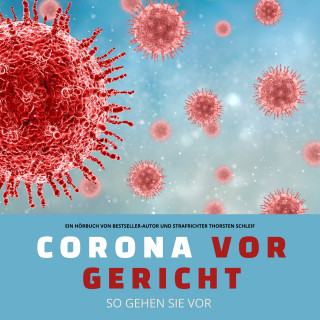 Thorsten Schleif: Corona vor Gericht: So gehen Sie vor