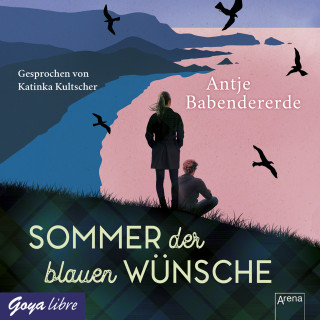 Antje Babendererde: Sommer der blauen Wünsche