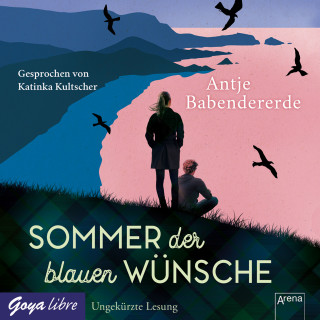 Antje Babendererde: Sommer der blauen Wünsche