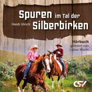 Heidi Ulrich: Spuren im Tal der Silberbirken