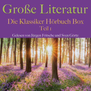 E.T.A. Hoffmann, Theodor Storm, Edgar Allan]READ_BY Poe: Große Literatur: Die Klassiker Hörbuch Box