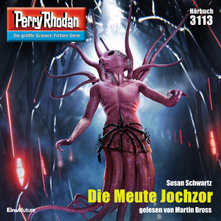 Susan Schwartz: Perry Rhodan 3113: Die Meute Jochzor