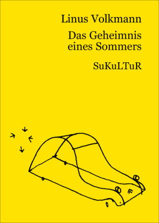 Linus Volkmann: Das Geheimnis eines Sommers