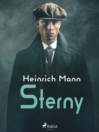 Heinrich Mann: Sterny