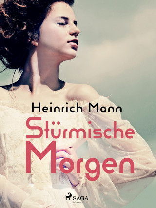 Heinrich Mann: Stürmische Morgen