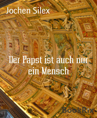 Jochen Silex: Der Papst ist auch nur ein Mensch