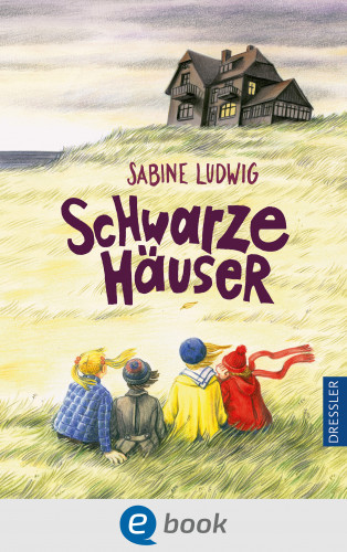 Sabine Ludwig: Schwarze Häuser