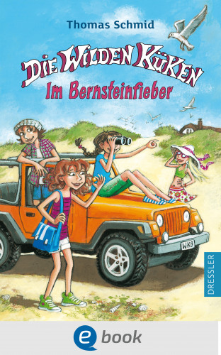 Thomas Schmid: Die Wilden Küken 9. Im Bernsteinfieber