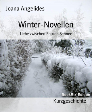 Joana Angelides: Winter-Novellen