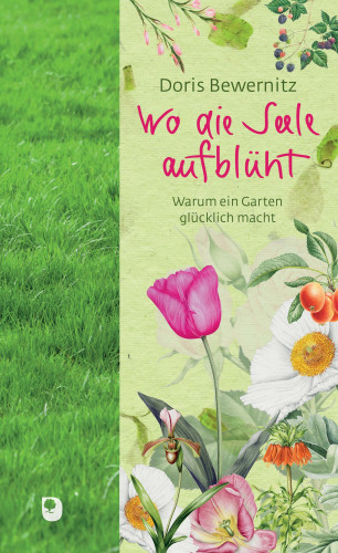 Doris Bewernitz: Wo die Seele aufblüht