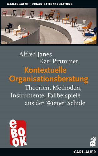 Alfred Janes, Karl Prammer: Kontextuelle Organisationsberatung