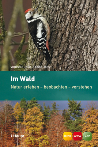 Andreas Jaun, Sabine Joss: Im Wald