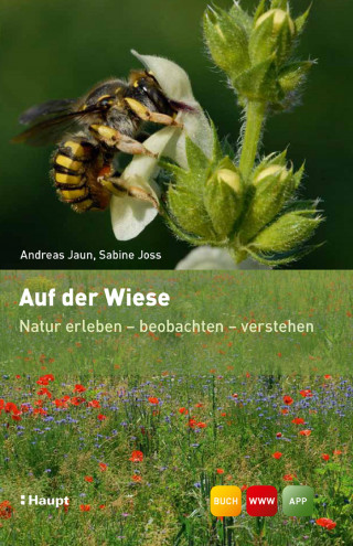 Andreas Jaun, Sabine Joss: Auf der Wiese