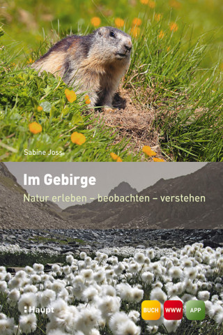 Sabine Joss: Im Gebirge