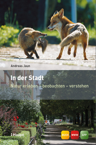 Andreas Jaun: In der Stadt
