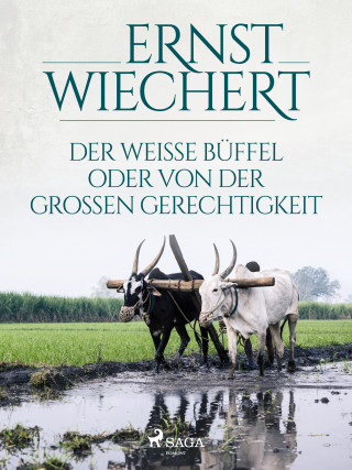 Ernst Wiechert: Der weiße Büffel, oder Von der großen Gerechtigkeit