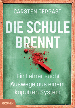 Carsten Tergast: Die Schule brennt