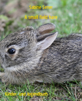 Sabine Sener: A small field hare
