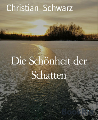 Christian Schwarz: Die Schönheit der Schatten