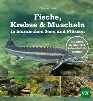Wolfgang Hauer: Fische, Krebse & Muscheln in heimischen Seen und Flüssen