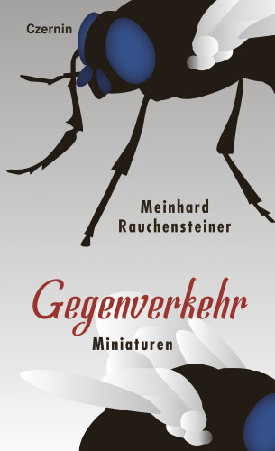 Meinhard Rauchensteiner: Gegenverkehr