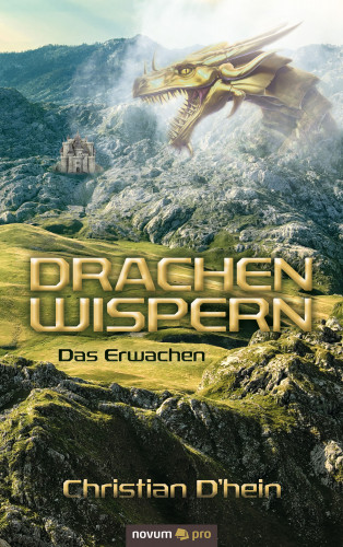 Christian D'hein: Drachenwispern