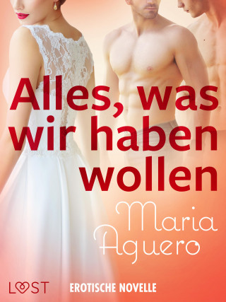 Maria Aguero: Alles, was wir haben wollen - Erotische Novelle