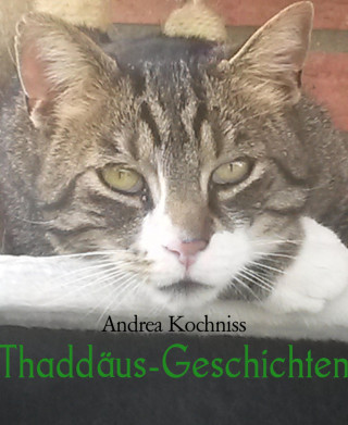 Andrea Kochniss: Thaddäus-Geschichten