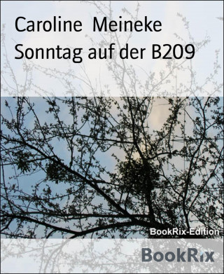 Caroline Meineke: Sonntag auf der B209