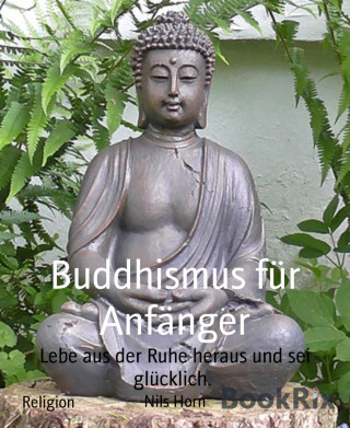 Nils Horn: Buddhismus für Anfänger